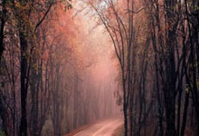 体坛名场面｜谁敢横刀立马，唯我莎头将军，德班世乒赛横扫日本组合，成功卫冕.