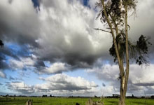 1XBET官方网站：[CBA]CBA季后赛12强出炉.