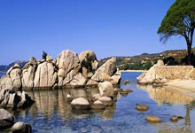 1XBET官方网站：浓眉：独行侠首秀有些急 回头看或许应该再多休息几天.